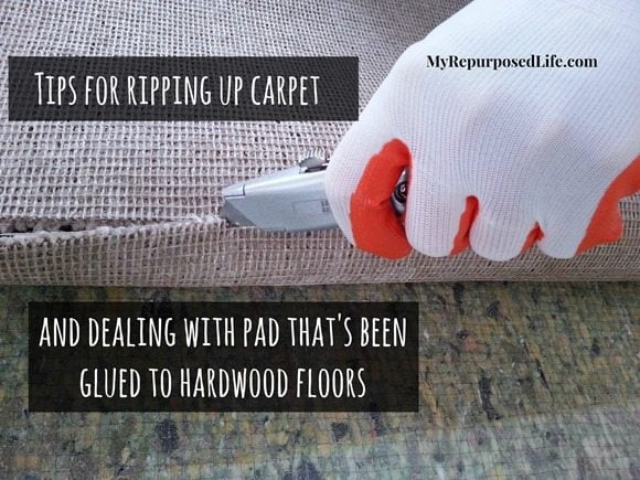 https://www.myrepurposedlife.com/wp-content/uploads/2014/04/ripping-up-carpet-glued-padding.jpg