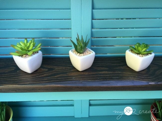 succulents displayed on potting bench shelf